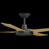 Calibo Enviro 60" (1530mm) DC Ceiling Fan with Remote | Black & Bamboo