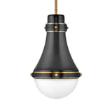 Hinkley Oliver Small Pendant Light | Black