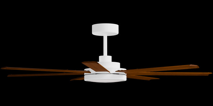 Calibo Alula 80" (2032mm) 7 Blade Indoor/Outdoor DC Ceiling Fan with 24W Light & Remote | White & Koa