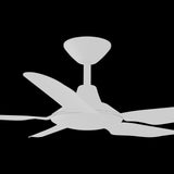 Calibo Storm 42" (1070mm) 5 Blade Indoor/Outdoor DC Ceiling Fan & Remote | White